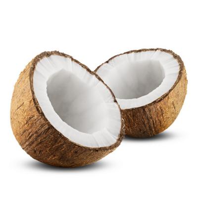 Noix de coco eau de toilette hot sale